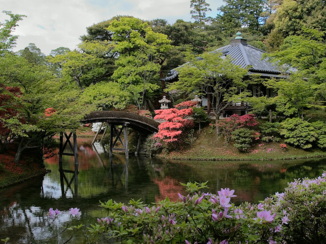 8252 2560X1920