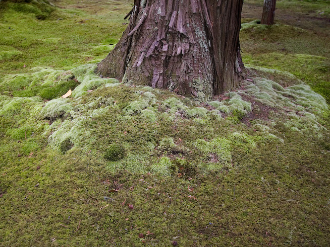 8104 2560x1920