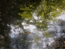 8199 2560x1920