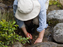 9276