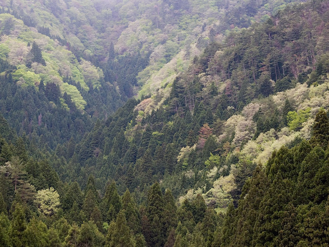 7894 1600x1200