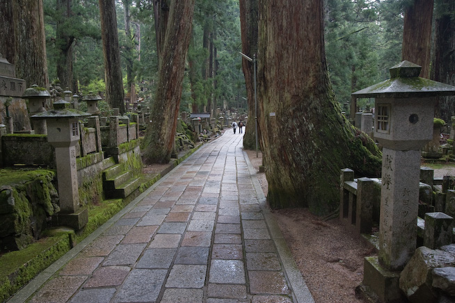 _MG_8905