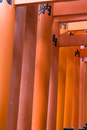 _MG_0214
