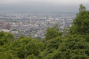 _MG_0224