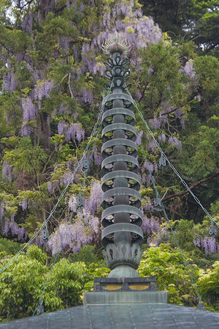 _MG_9778