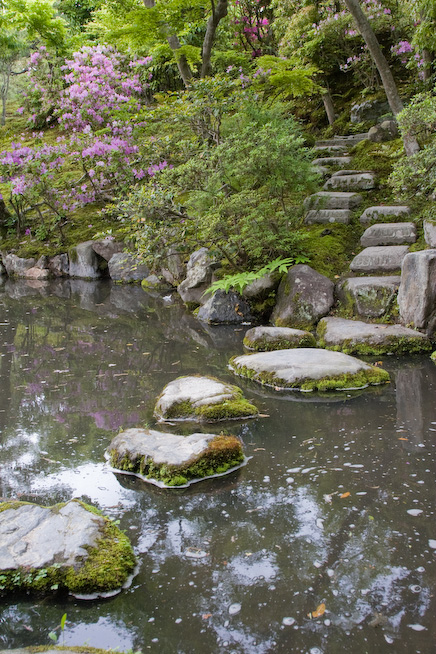 _MG_8492