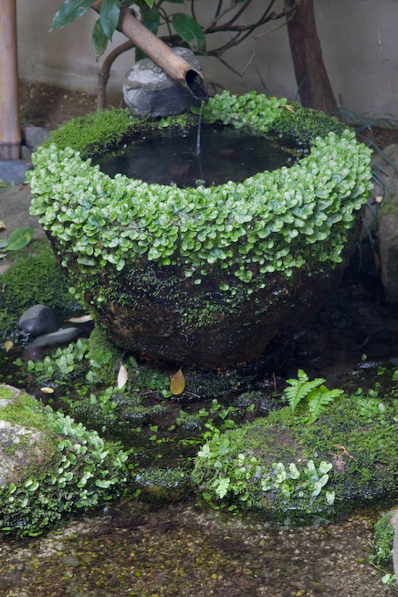 _MG_0660