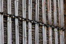 _MG_0639