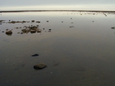 4424_V2_2560x1920